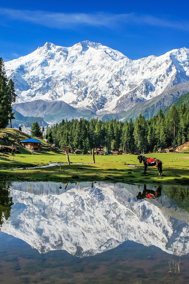 Fairy Meadows